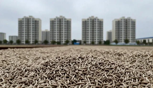 供应链优化中的常见问题与应对策略